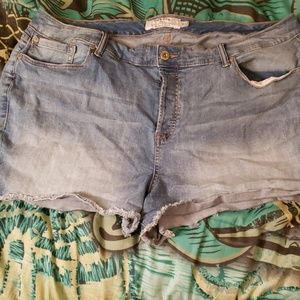 Denim button up shorts
